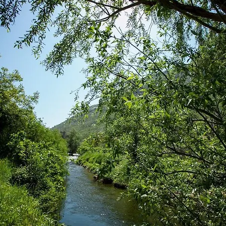 Country house House Next To The River Miro