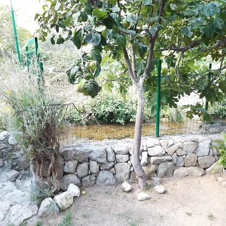 House Next To The River Miro Country house