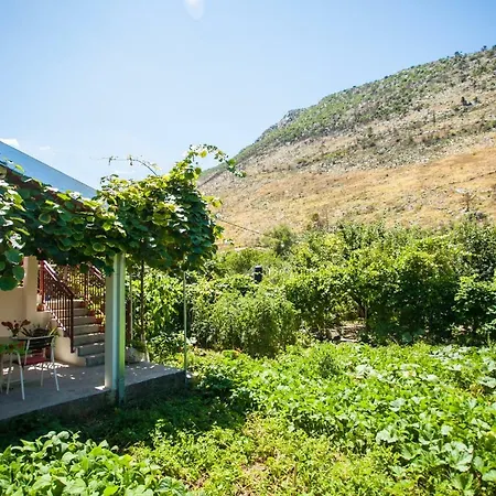 Country house House Next To The River Miro